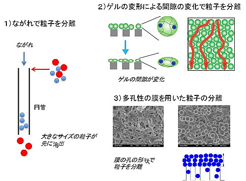 研究紹介_川喜田