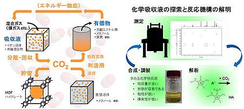 研究紹介_梅木