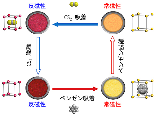 研究紹介_米田