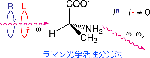 研究紹介_海野